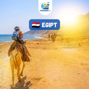 🇪🇬 Egipt- raj nad Morzem Czerwonym z Katowic - 7 nocy All Inclusive od 2 329 zł/os.!